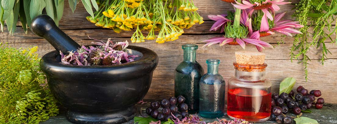 Medicina Herbal